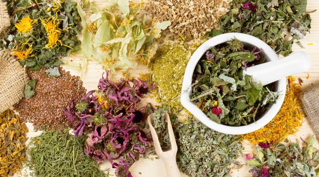 Piante medicinali che aiutano nella lotta contro il diabete mellito
